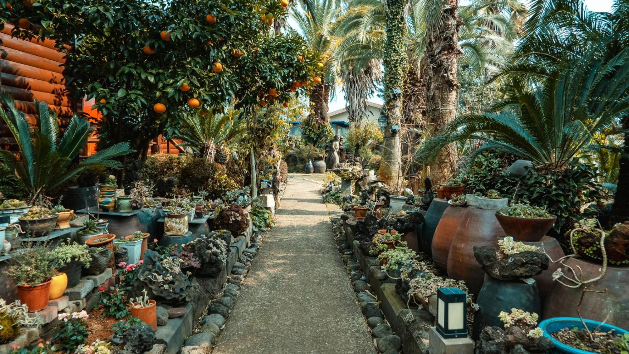 Valley Village ソギポ エクステリア 写真